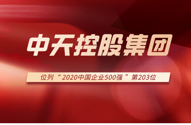 尊龙集团列2020中国企业500强第203位！